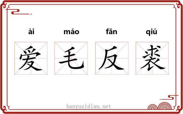 爱毛反裘