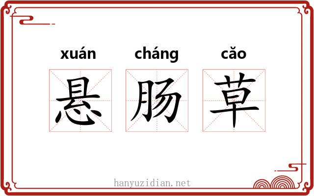 悬肠草 悬肠草