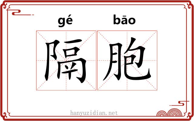 隔胞