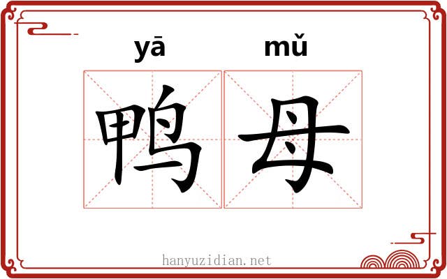 鸭母