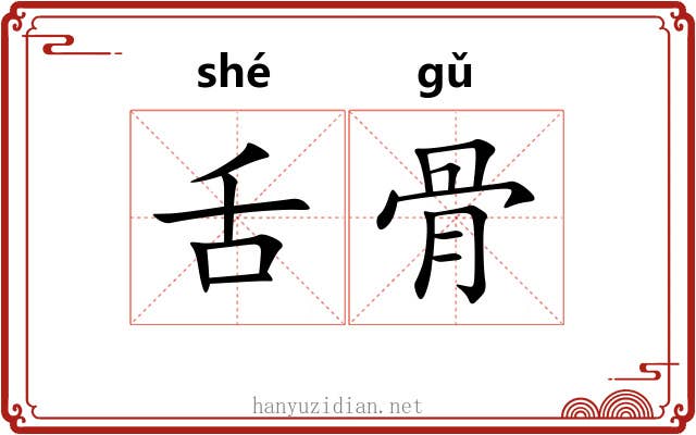 舌骨 舌骨