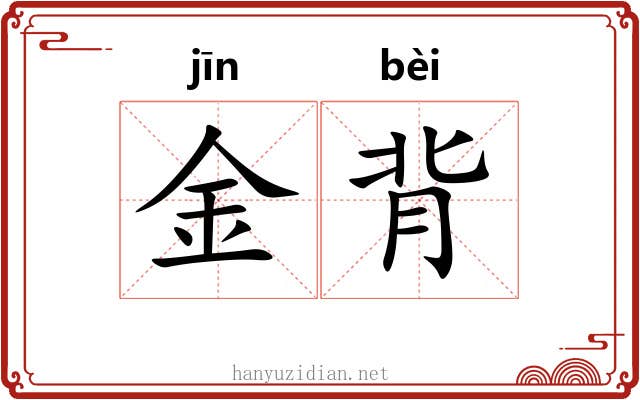 金背 金背