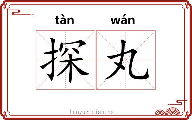 探丸