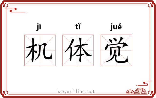 机体觉 机体觉