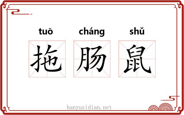 拖肠鼠 拖肠鼠
