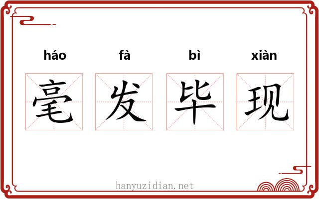 毫发毕现 毫发毕现