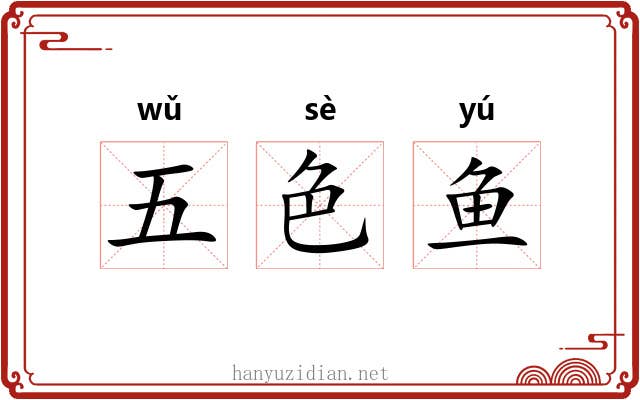 五色鱼 五色鱼