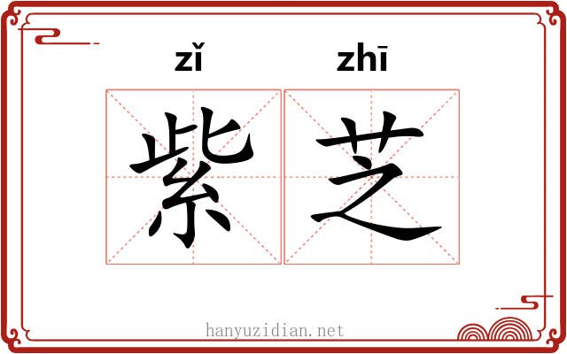 紫芝 紫芝