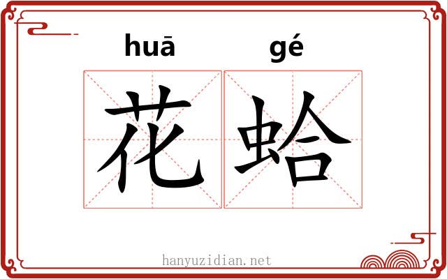 花蛤 花蛤