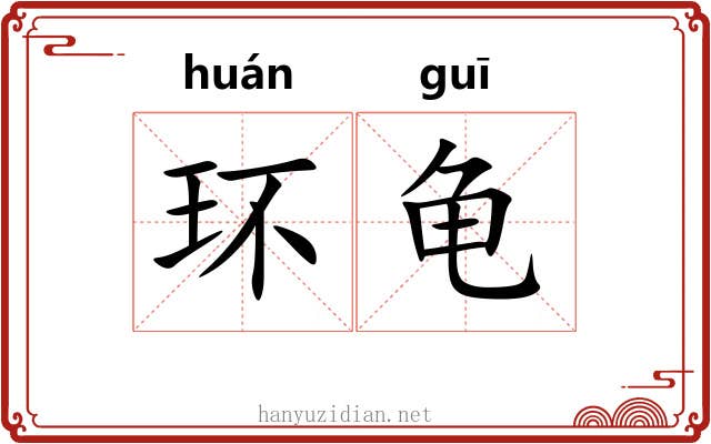 环龟