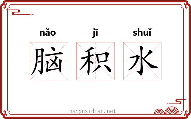 脑积水 脑积水