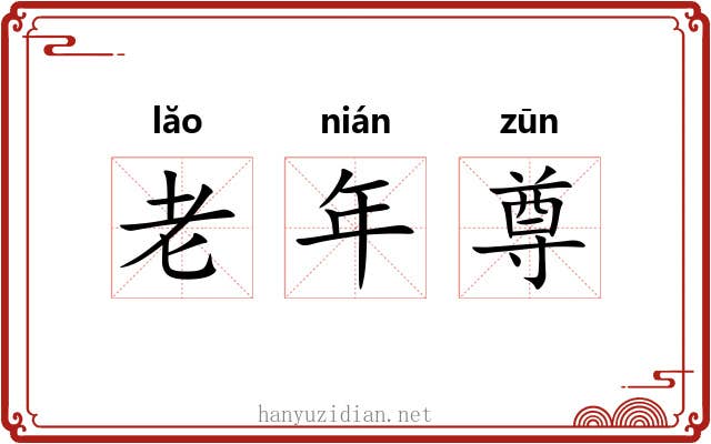 老年尊