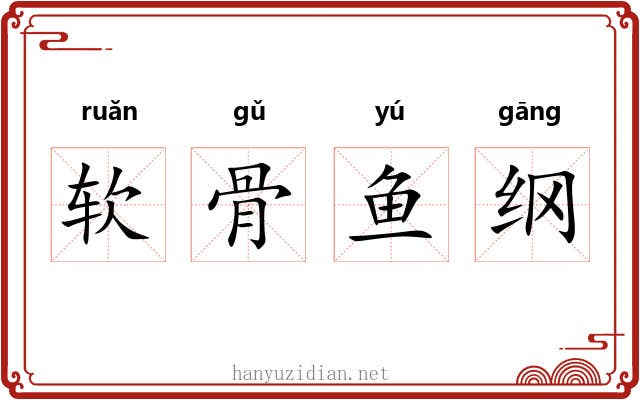 软骨鱼纲