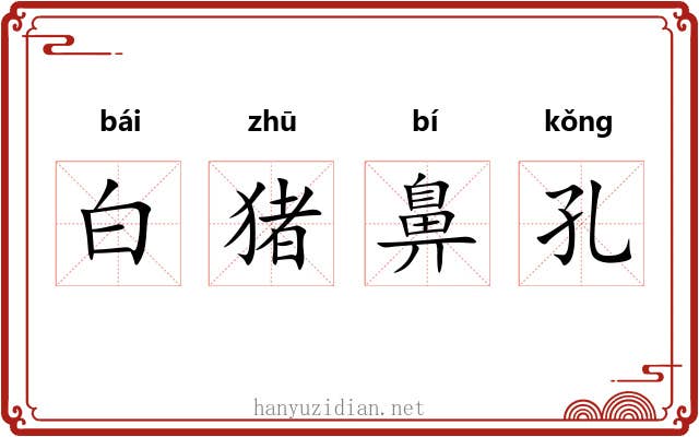 白猪鼻孔 白猪鼻孔