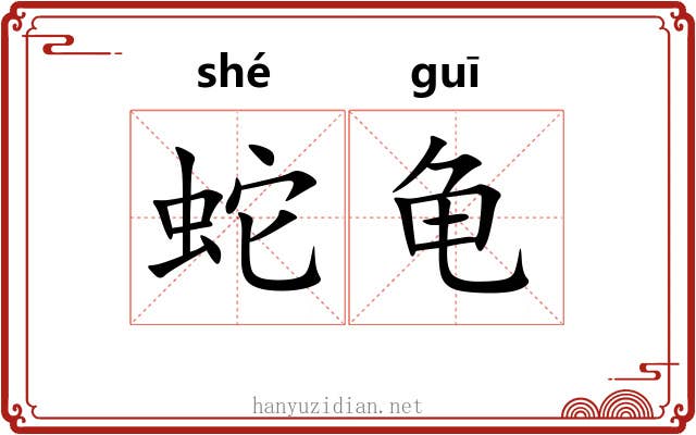 蛇龟 蛇龟