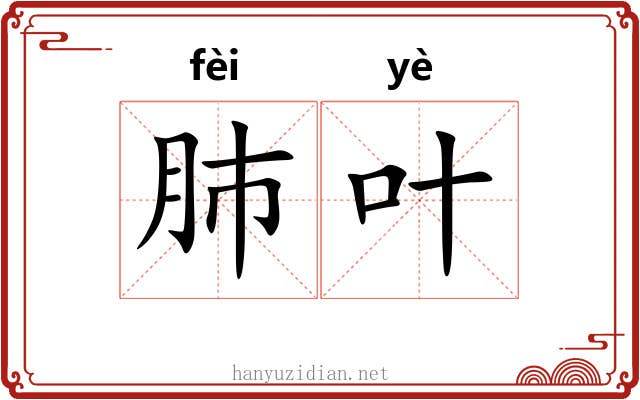 肺叶