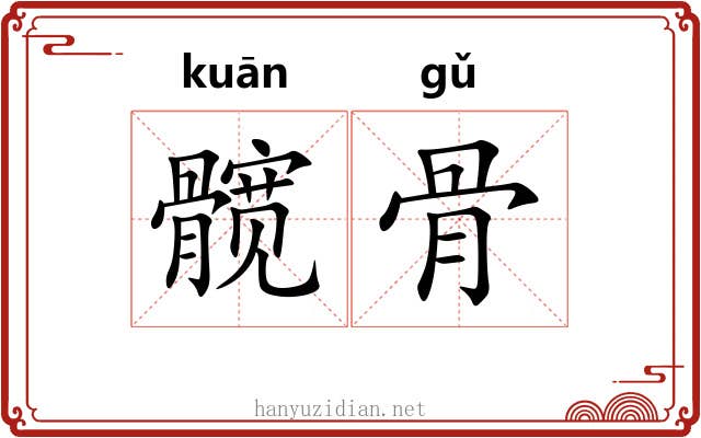 髋骨 髋骨