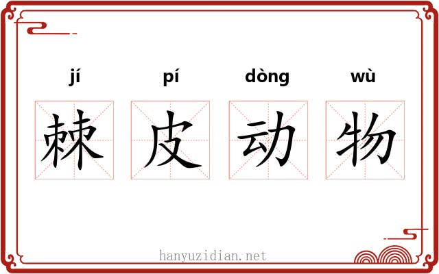 棘皮动物 棘皮动物