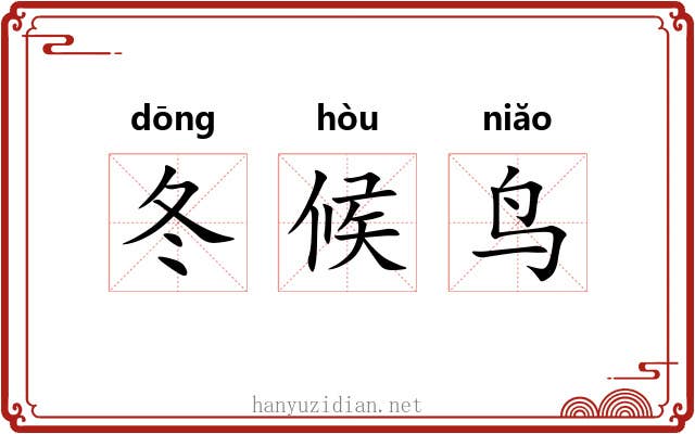 冬候鸟 冬候鸟