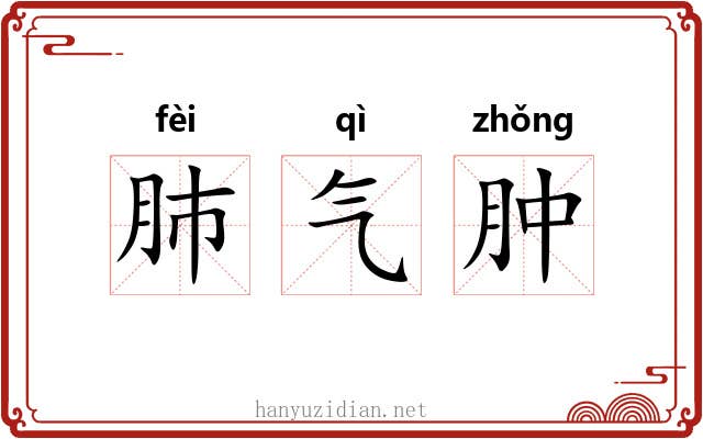 肺气肿 肺气肿