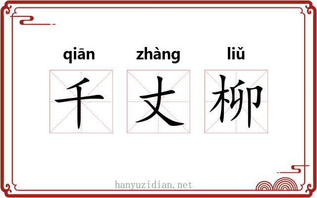 千丈柳 千丈柳