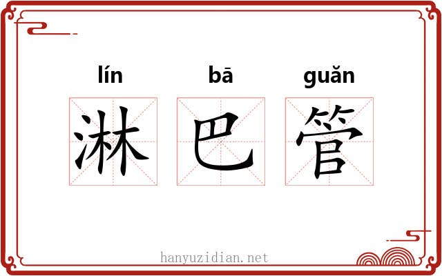 淋巴管 淋巴管