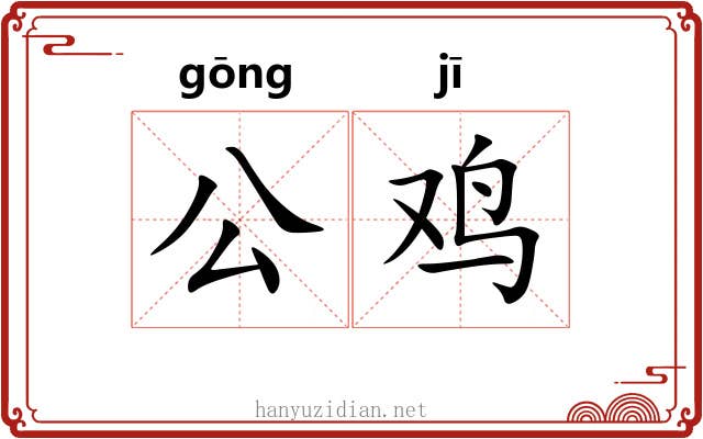 公鸡