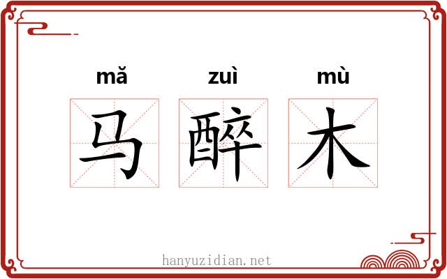 马醉木
