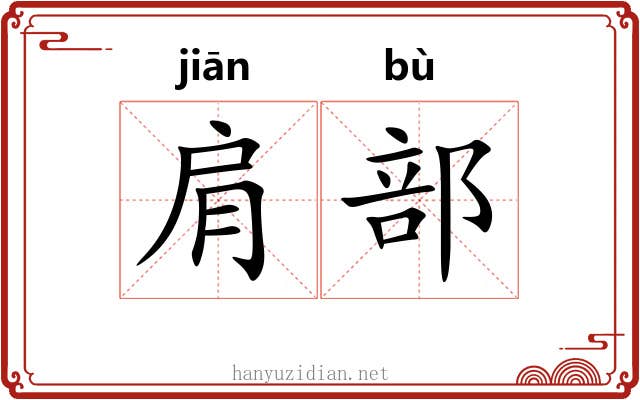 肩部