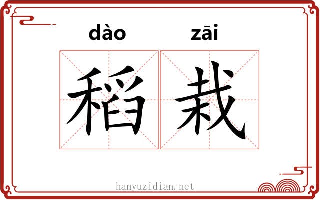 稻栽