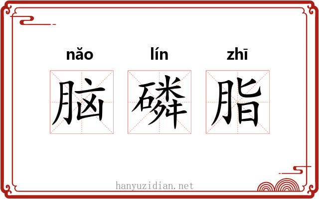 脑磷脂 脑磷脂