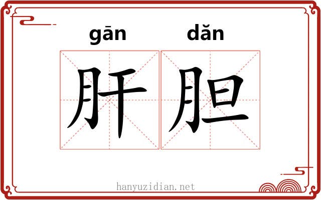 肝胆 肝胆