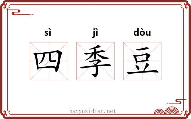 四季豆 四季豆