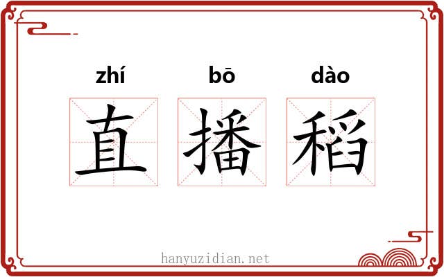 直播稻