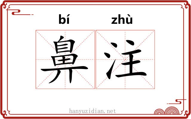 鼻注