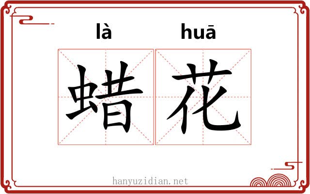 蜡花