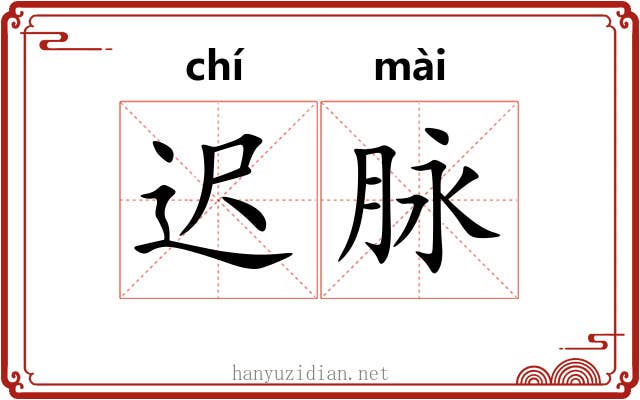 迟脉