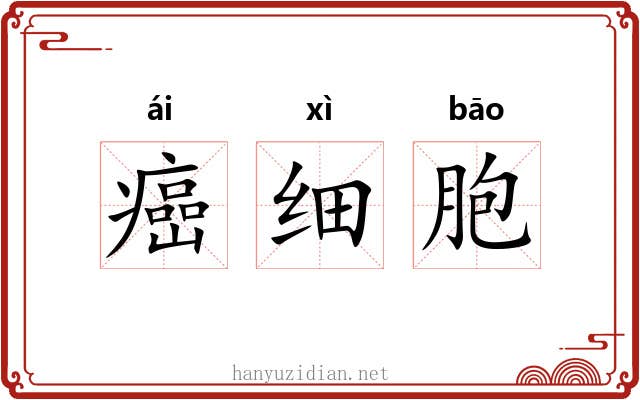 癌细胞 癌细胞