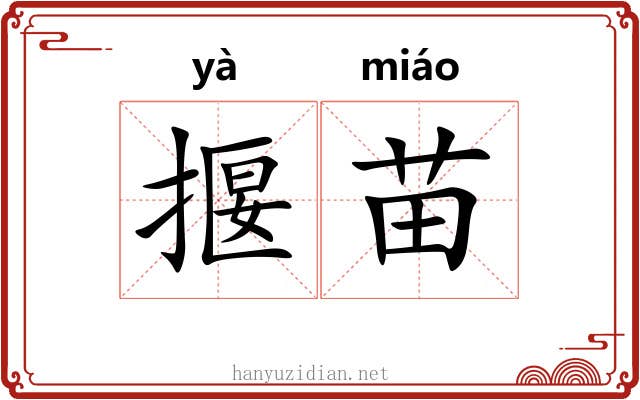 揠苗