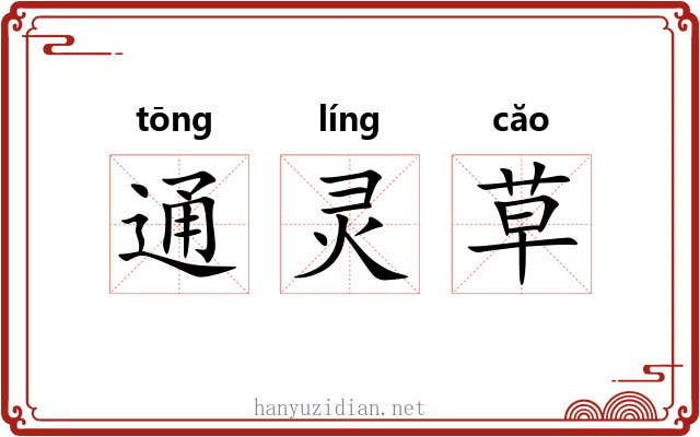 通灵草