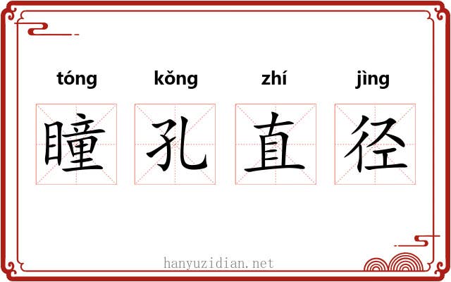 瞳孔直径 瞳孔直径