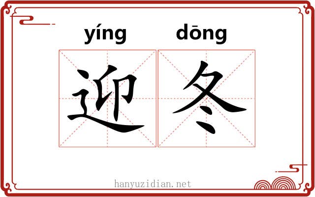 迎冬