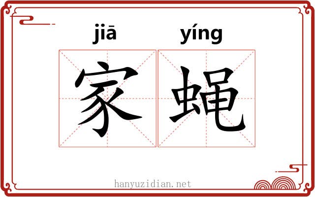 家蝇