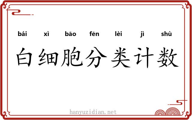 白细胞分类计数 白细胞分类计数