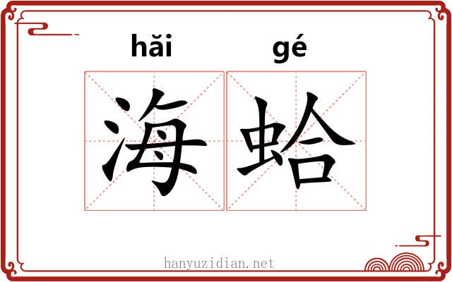 海蛤 海蛤