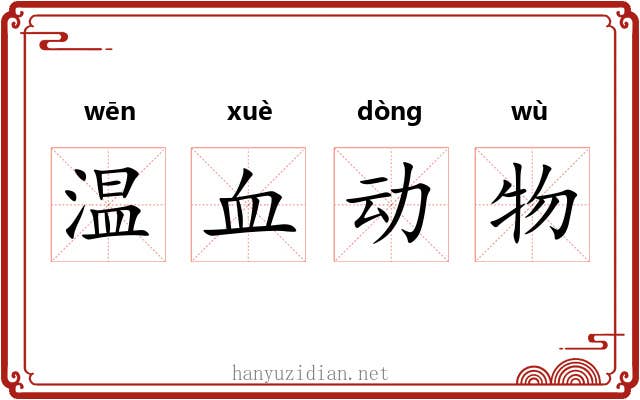 温血动物 温血动物