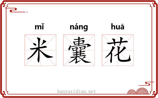 米囊花 米囊花