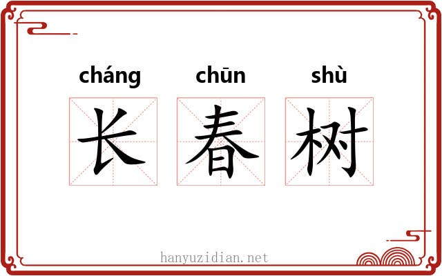 长春树 长春树