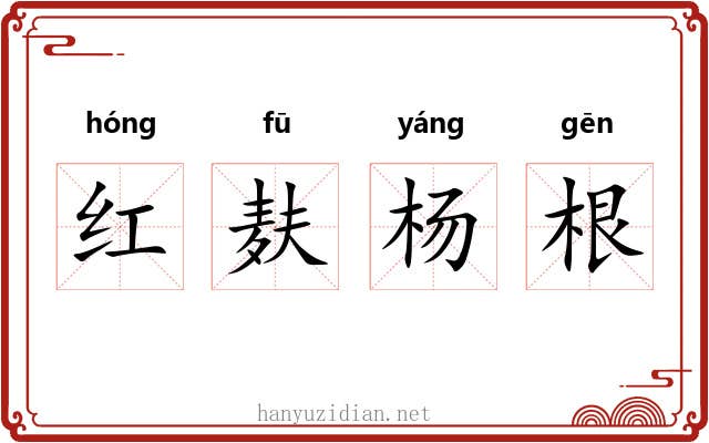 红麸杨根 红麸杨根