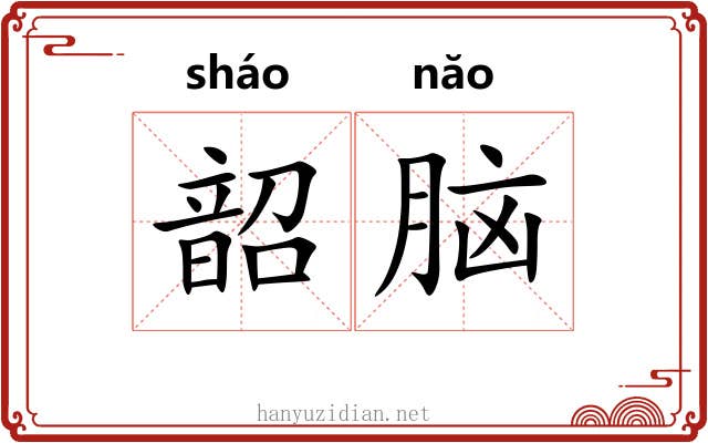 韶脑